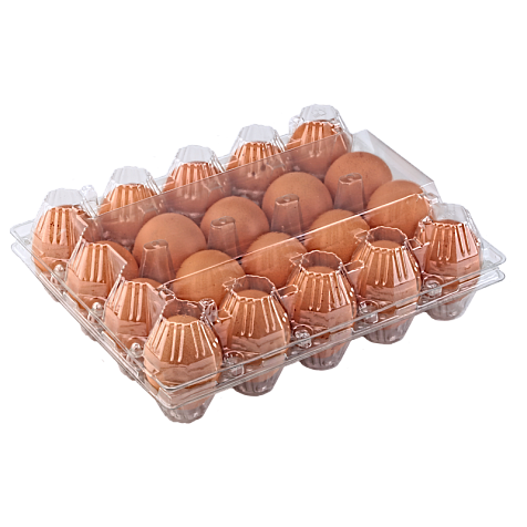 Упаковка для куриных яиц, 20 ячеек (пластик)