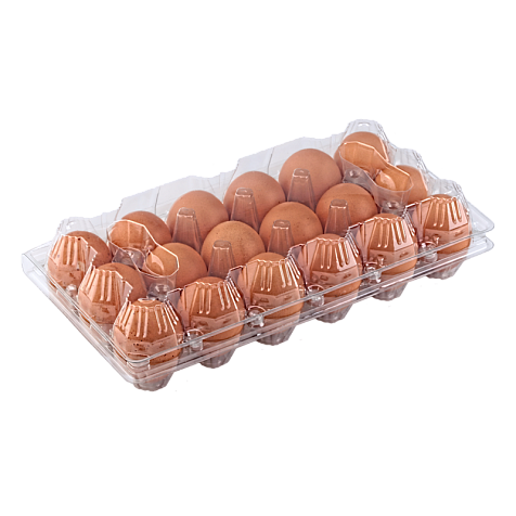 Упаковка для куриных яиц, 18 ячеек (пластик)