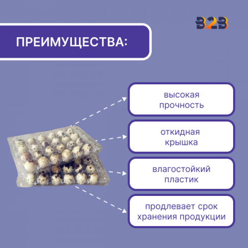 Упаковка для перепелиных яиц, 24 ячеек (пластик)
